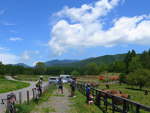 150531-開田高原木曽馬