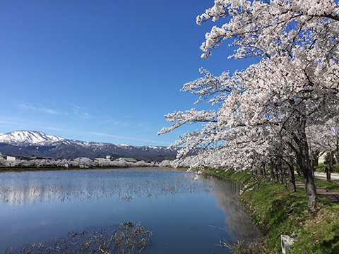 190413糸魚川輪行