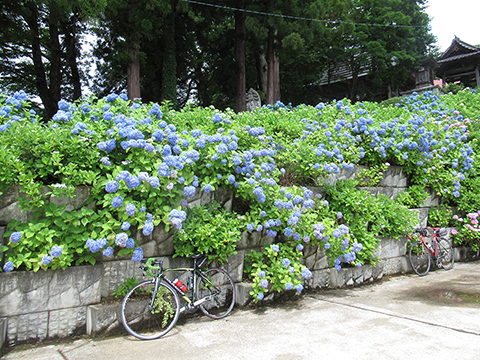 200701高源院